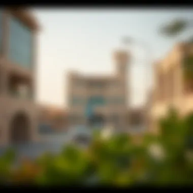 Magnificent Exploring Al Heerah: A Comprehensive Overview of the Suburb Magnificent Exploring Al Heerah: A Comprehensive Overview of the Suburb