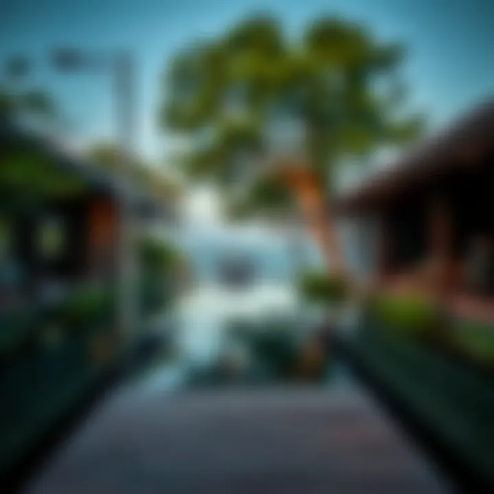 Magnificent Exploring Anantara Mangroves: A Sanctuary of Serenity in the Heart of Nature