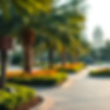 Magnificent The Comprehensive Guide to Dubai Park Locations