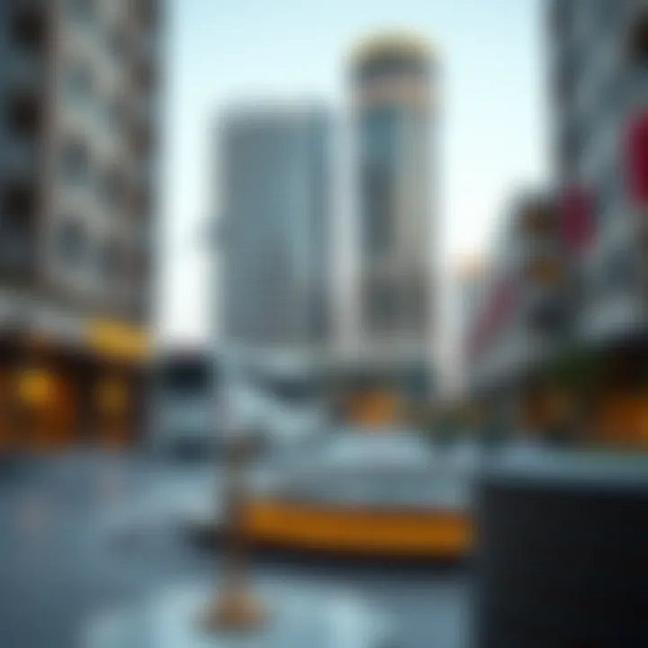 Magnificent Understanding the Role of the Real Estate Registration Department in Dubai's Market