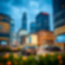 CBD and International Cities: Understanding the Landscape Introduction