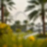 Exploring Al Bateen Park: A Green Oasis in Dubai Introduction