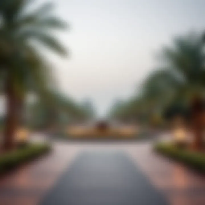 Exploring Al Bateen Park: A Green Oasis in Dubai Summary