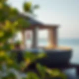 Exploring Anantara Mangroves: A Sanctuary of Serenity in the Heart of Nature Introduction
