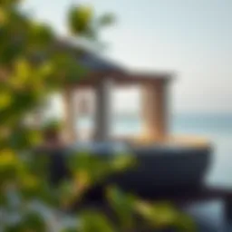 Exploring Anantara Mangroves: A Sanctuary of Serenity in the Heart of Nature Introduction
