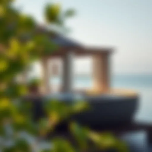 Exploring Anantara Mangroves: A Sanctuary of Serenity in the Heart of Nature Introduction