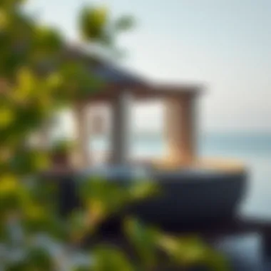 Exploring Anantara Mangroves: A Sanctuary of Serenity in the Heart of Nature Introduction Exploring Anantara Mangroves: A Sanctuary of Serenity in the Heart of Nature Introduction