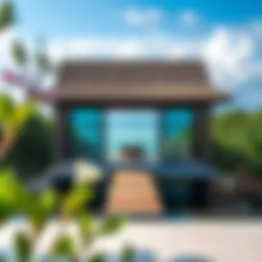Notable Exploring Anantara Mangroves: A Sanctuary of Serenity in the Heart of Nature Notable Exploring Anantara Mangroves: A Sanctuary of Serenity in the Heart of Nature