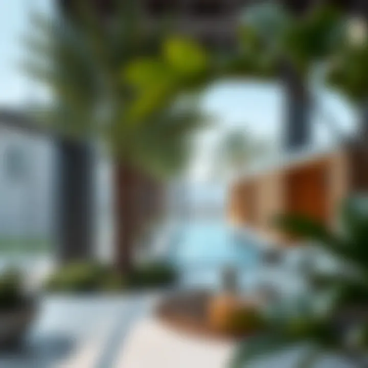 Exploring Aura Gardens: A Unique Perspective on Tilal Al Ghaf Summary