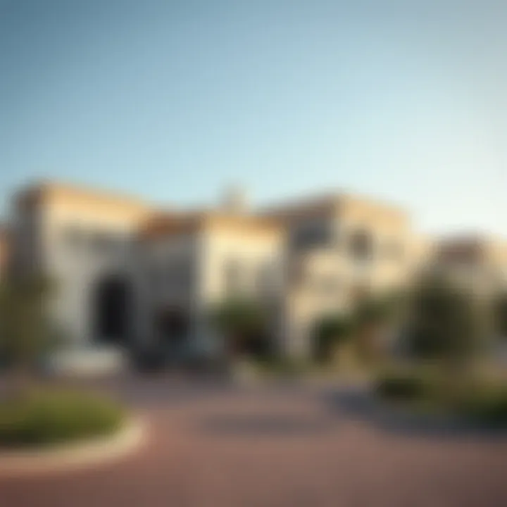 Exploring La Rosa Villanova: A Comprehensive Insight into Dubai's Emerging Community Summary