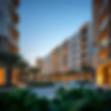 Contemporary Architecture in the Neighborhood Modern residential buildings in Madinat Khalifa Al-Furjan