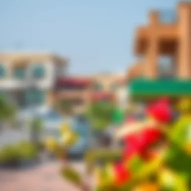 Local Amenities in Al Muwaijir 3 Vibrant neighborhood scene highlighting local amenities and parks