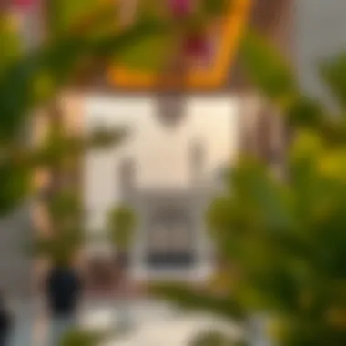 Exploring the Landscape of Arab Land Real Estate Summary