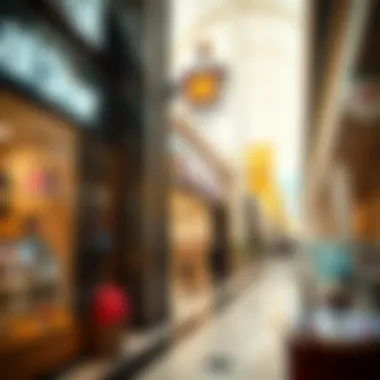 Notable Exploring the Shops of Bawabat Al Sharq Mall Notable Exploring the Shops of Bawabat Al Sharq Mall
