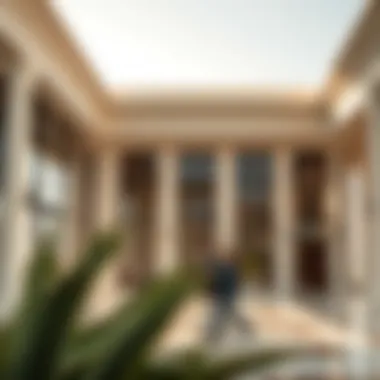 Impact of the UAE's Cancellation of the Visa Grace Period in 2023 Summary