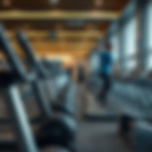 Navigating the Gym Sale Market in Dubai Introduction