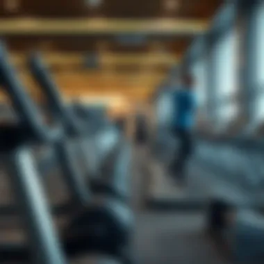 Navigating the Gym Sale Market in Dubai Introduction Navigating the Gym Sale Market in Dubai Introduction