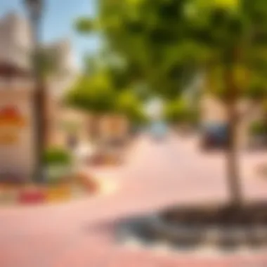Community Features of Sahara Meadows Street view capturing the vibrant community features and residential developments in Sahara Meadows.