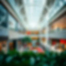 The Yass Mall Phenomenon: A Comprehensive Exploration Introduction