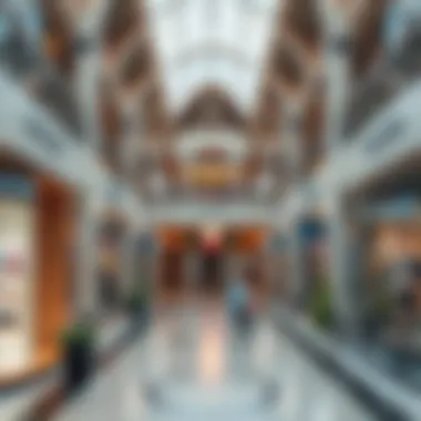 The Yass Mall Phenomenon: A Comprehensive Exploration Summary The Yass Mall Phenomenon: A Comprehensive Exploration Summary