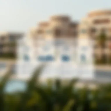 A detailed infographic depicting various visa categories in Dubai