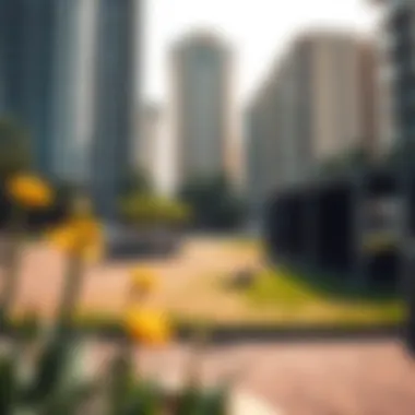 Dog Parks Enhancing Urban Living in Dubai An overview of a dog park in an urban setting, highlighting its proximity to residential buildings.